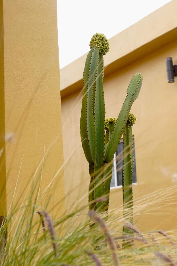 Cozy & Quiet Pet Friendly Studio Ensenada Eksteriør bilde