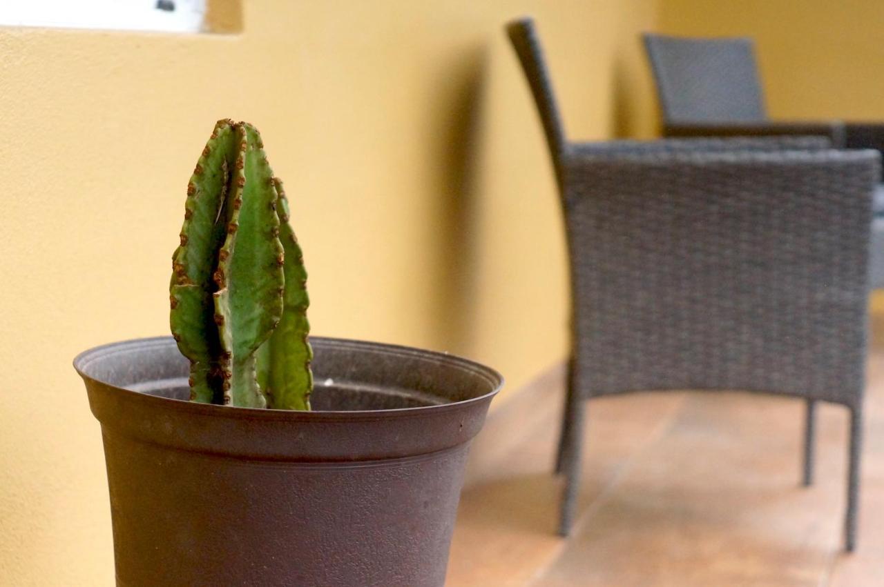 Cozy & Quiet Pet Friendly Studio Ensenada Eksteriør bilde